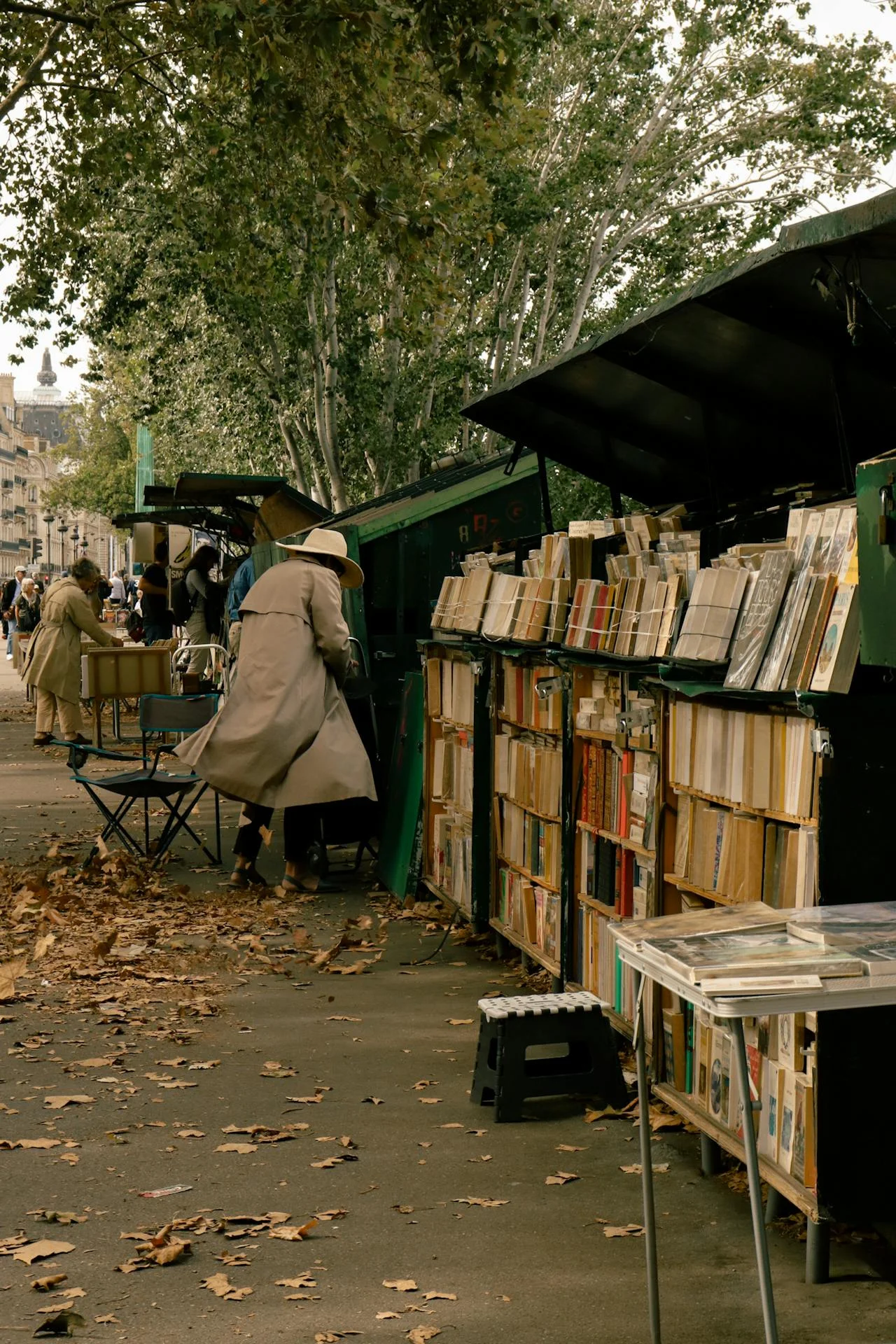 Paris travel books