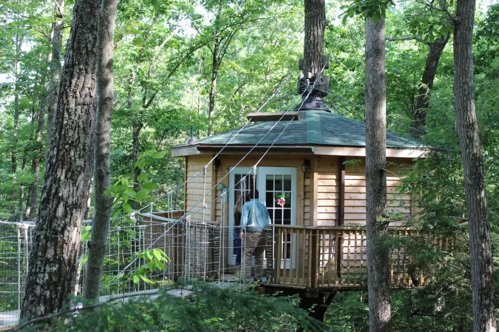 Holly Rock Treehouse