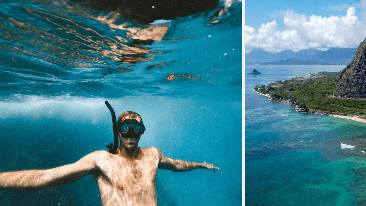 best Snorkeling in Oahu