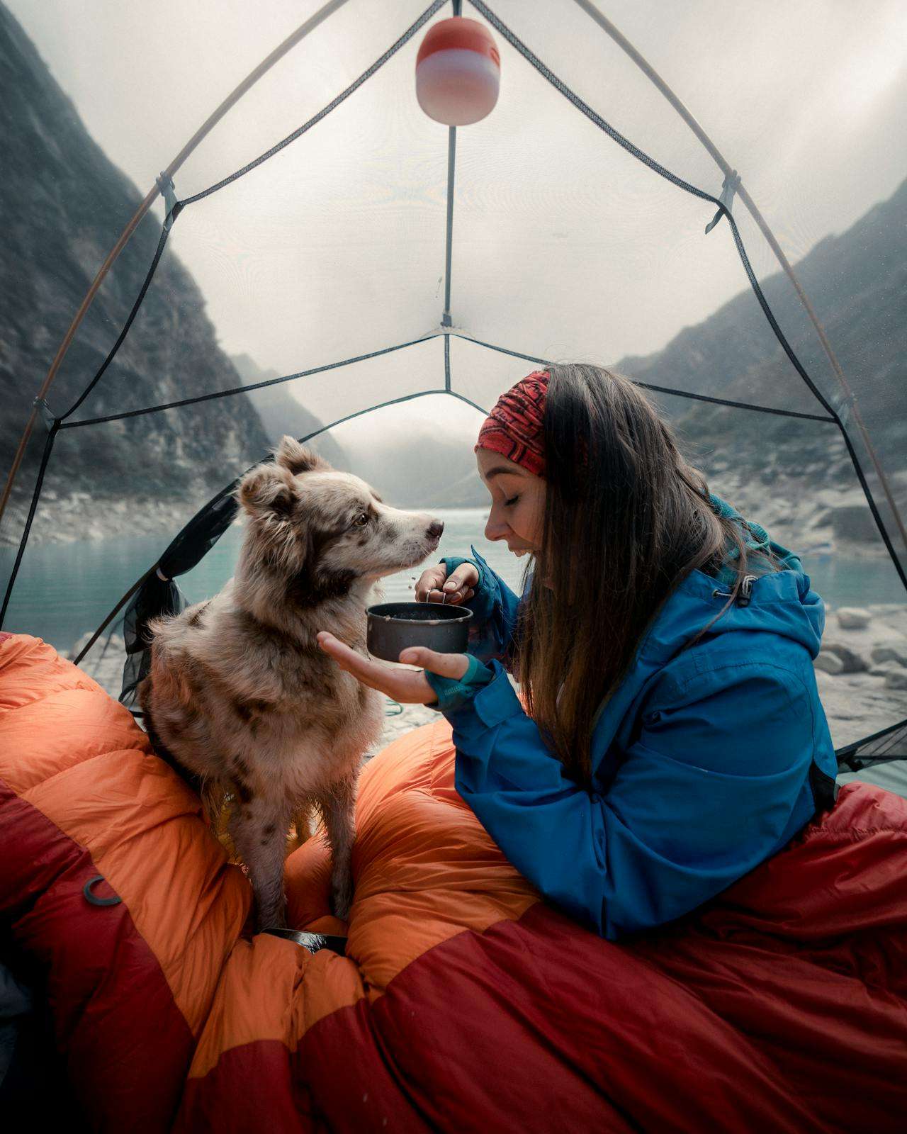 Camping with dog