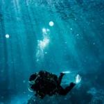 Snorkeling in oahu