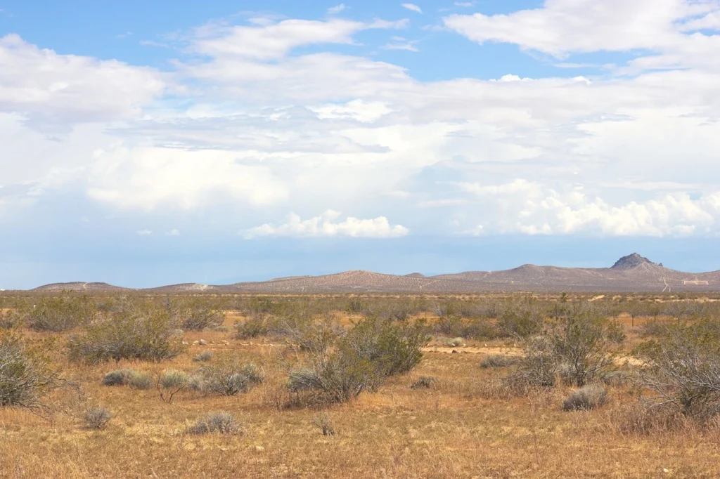 Mojave Desert