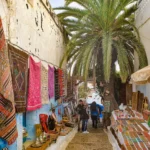 How To Travel Like A Local In Any City (16 Tips To Know)