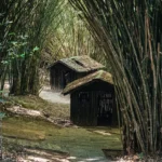 12 Best Camping Sites in Thailand (You Must Visit in 2025)