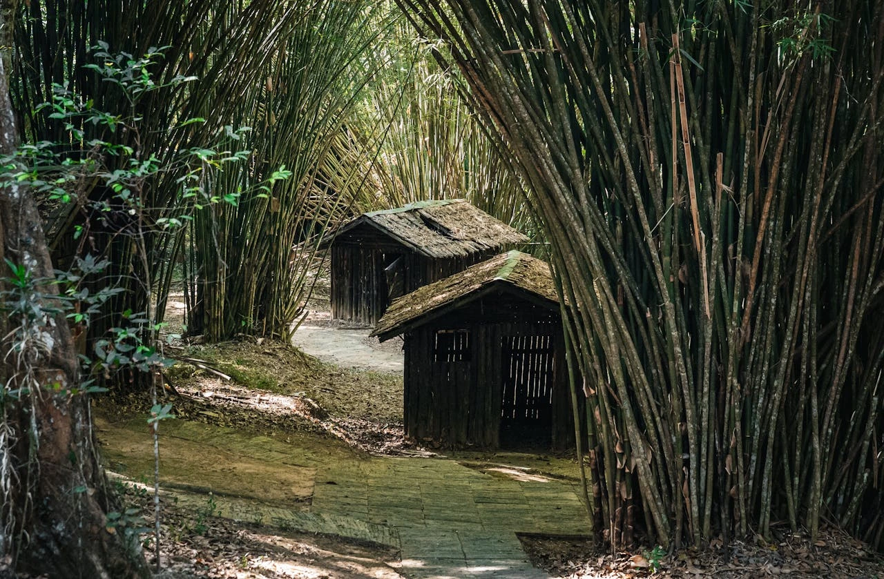 12 Best Camping Sites in Thailand (You Must Visit in 2025)