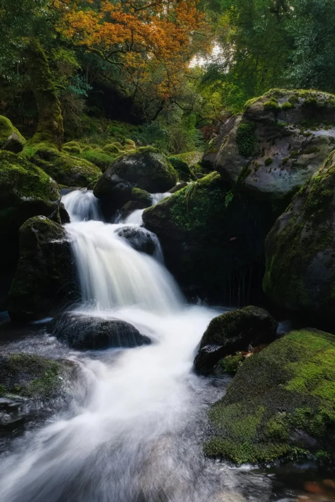 Killarney National Park