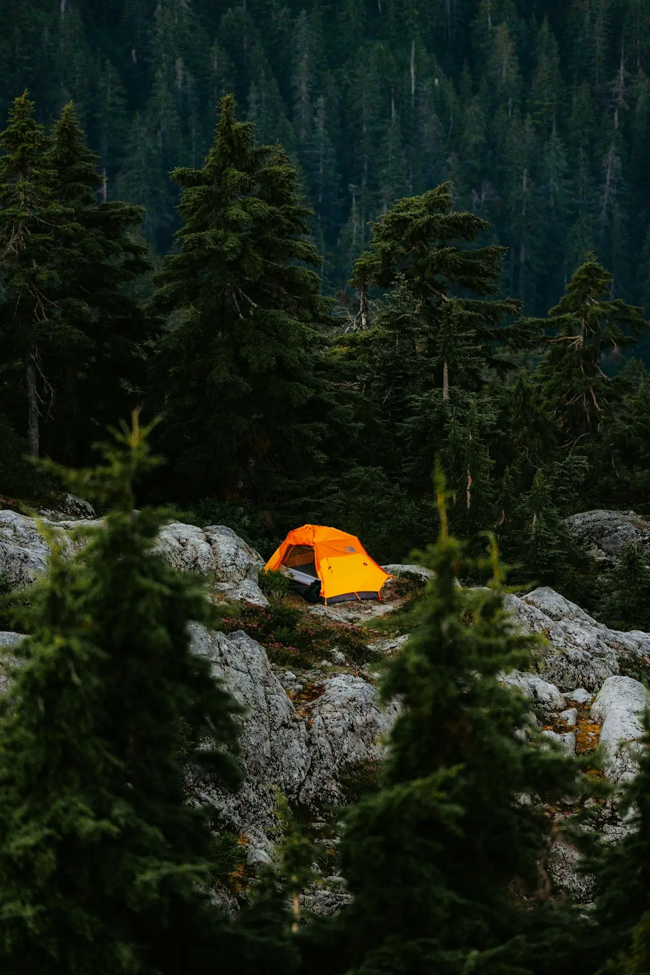8 Best Camping Tents For Two in 2025