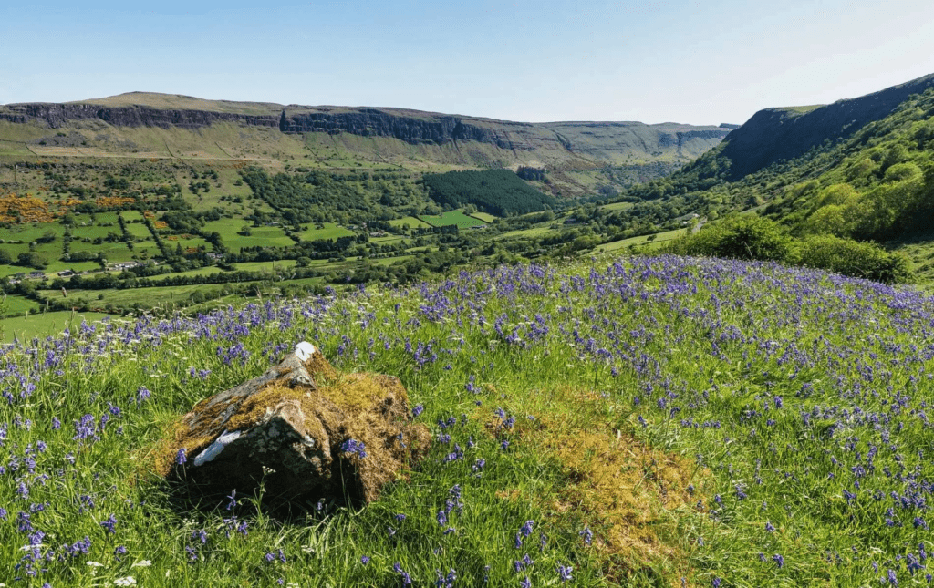 The Nine Glens of Antrim