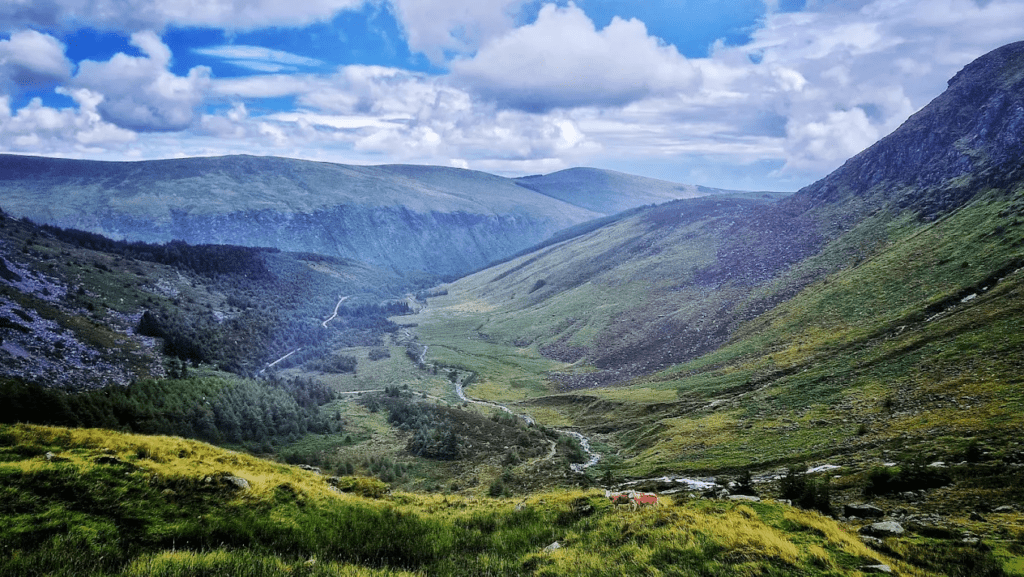 Wicklow Mountains National Park