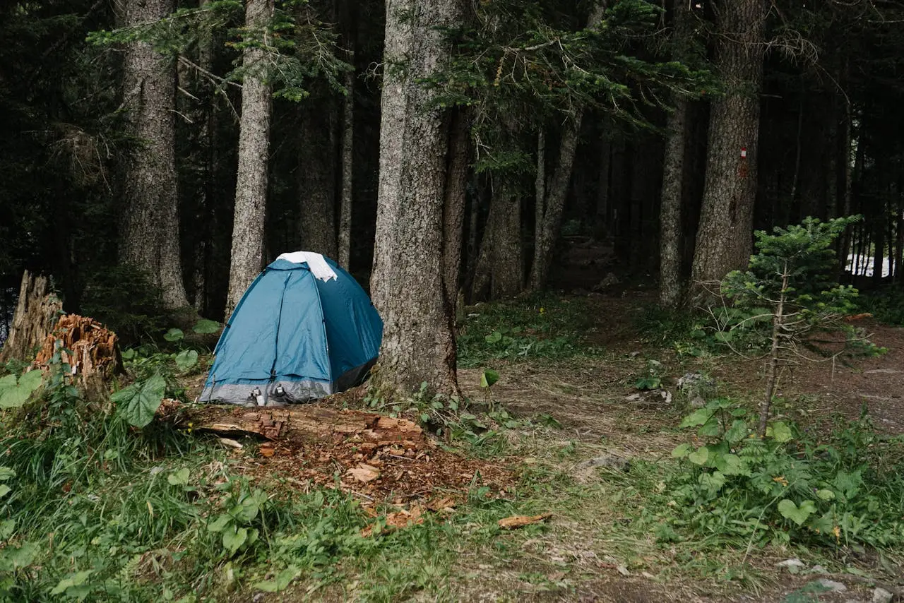 Top 16 Summer Camping Hacks For Everyone In 2025