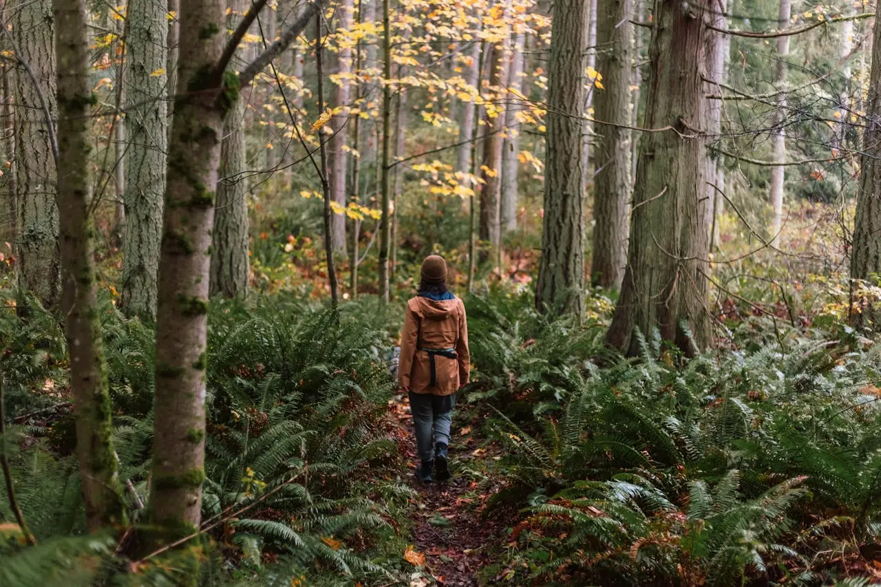 13 Best Best Hikes Near Seattle: You Must Know in 2025
